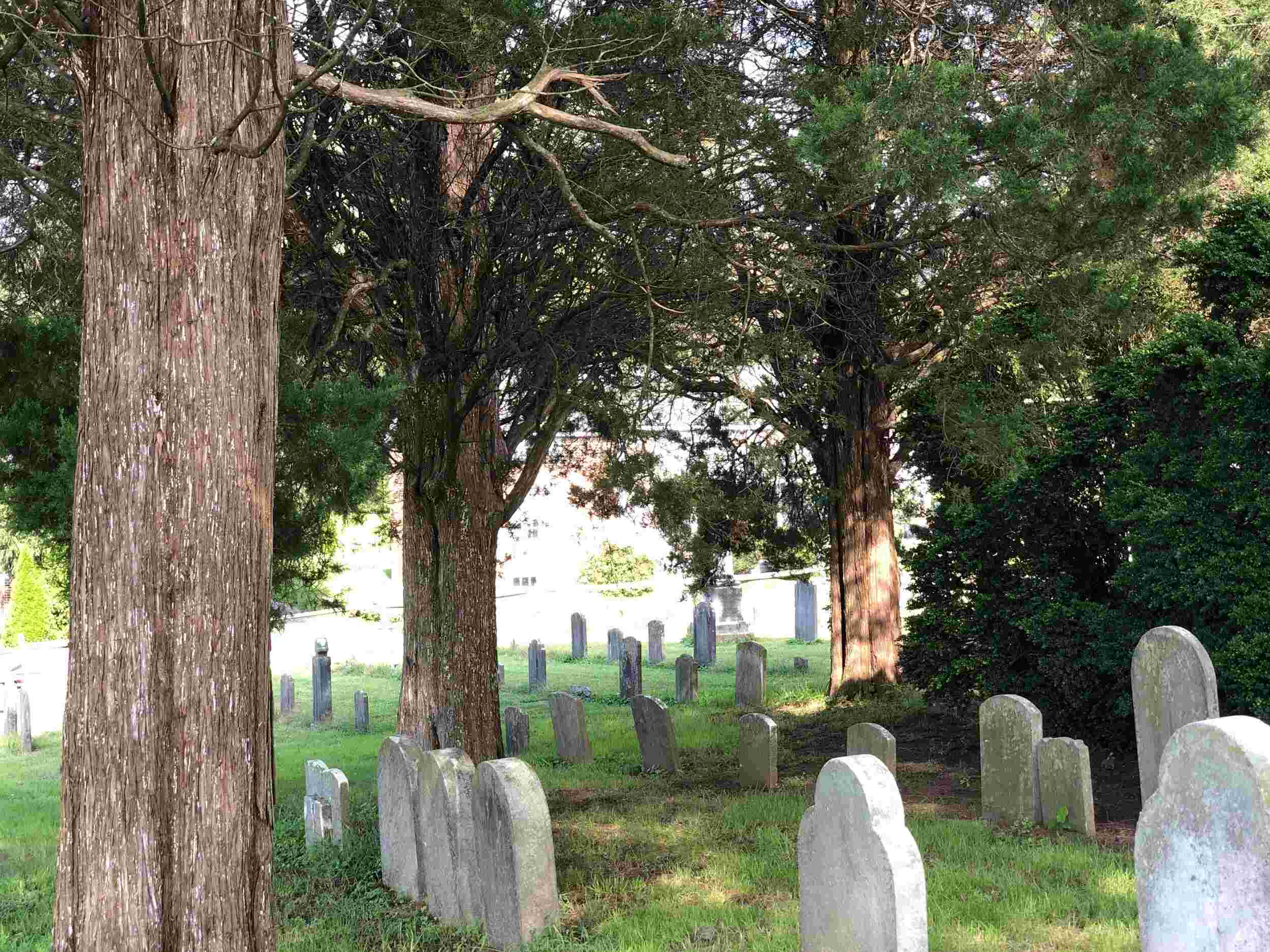Secrets-Of-Maryland8217s-Witch8217s-Grave secrets-of-marylands-witchs-grave