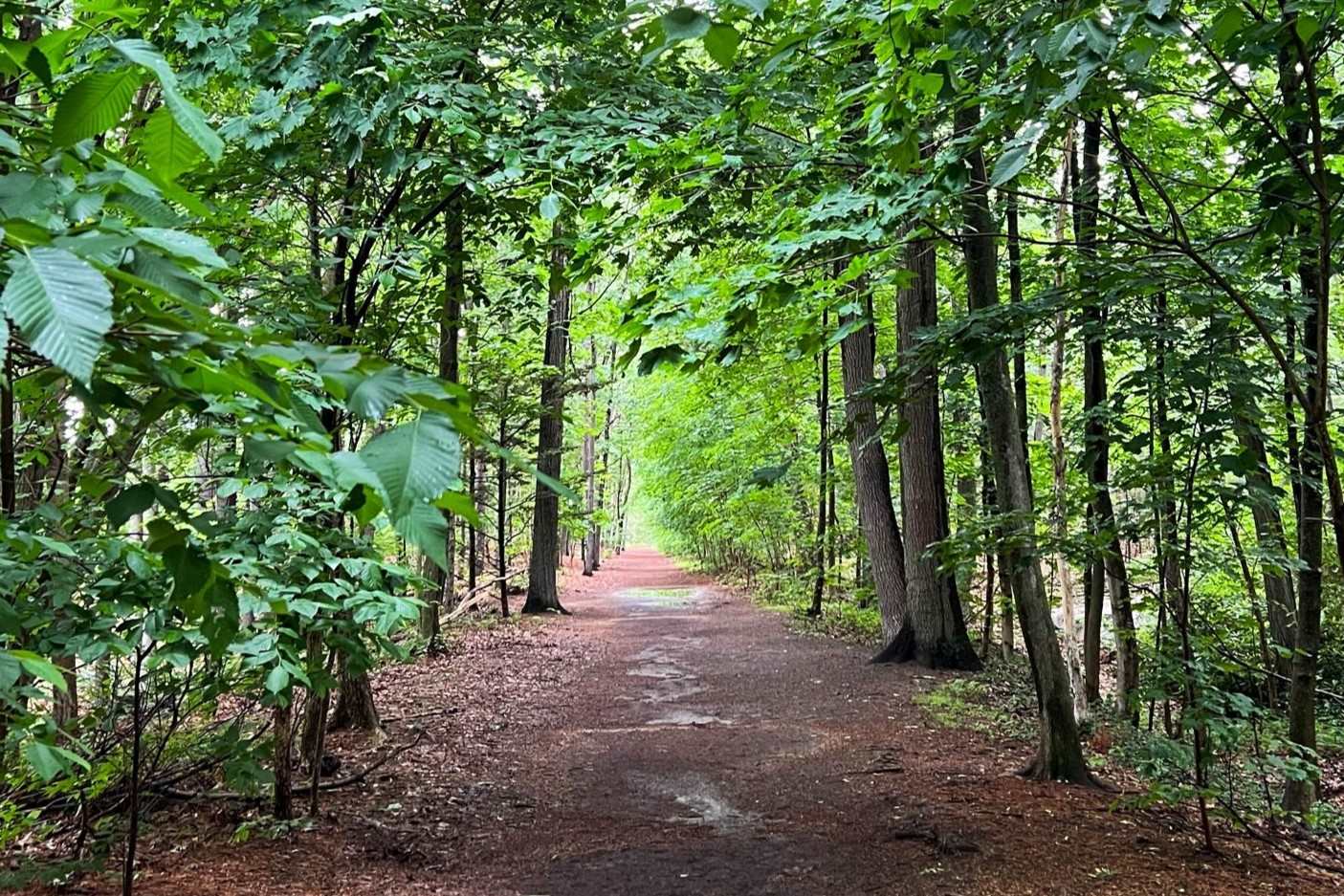 secrets-of-massachusetts-storm-point-paths