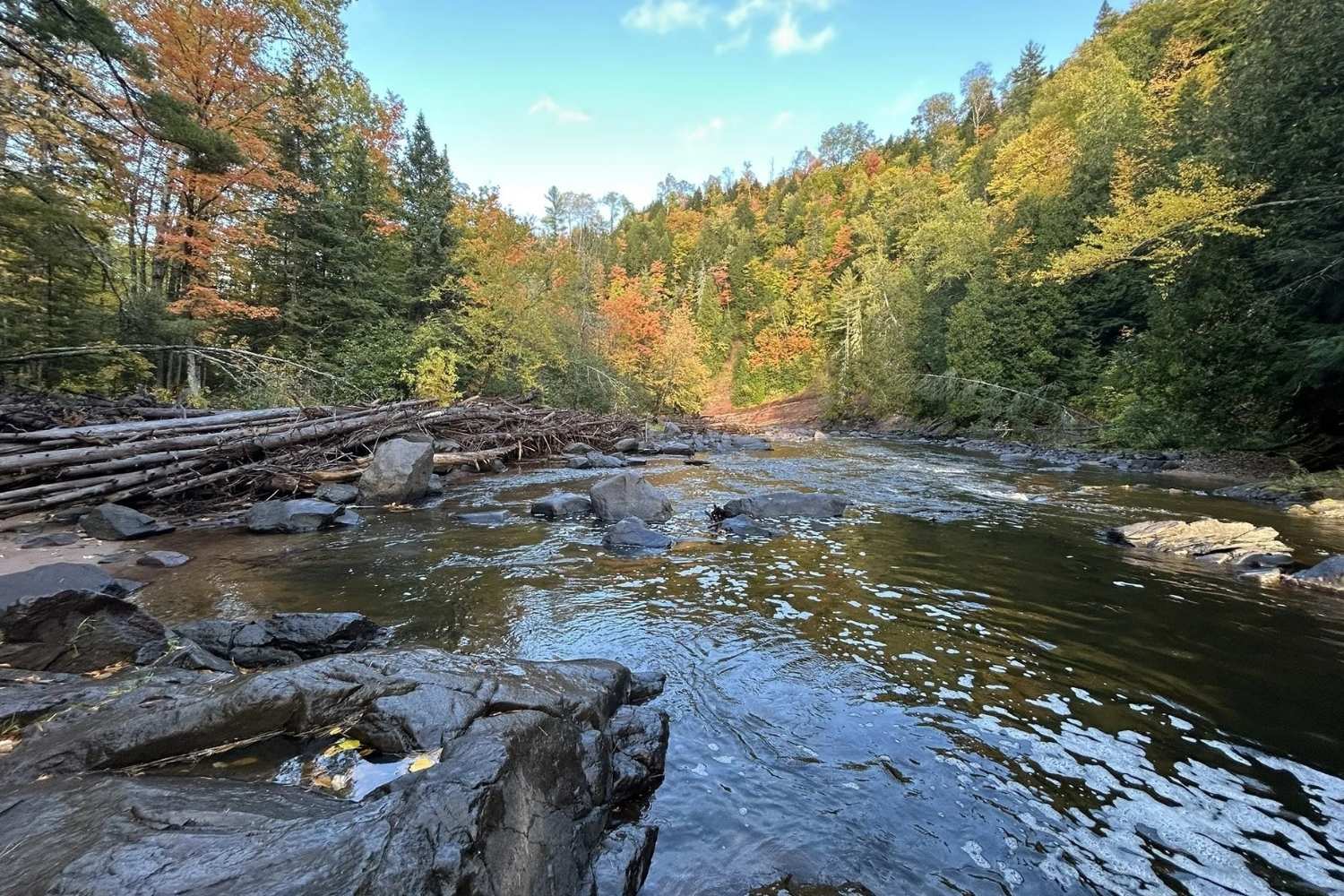 Secrets-Of-Michigan8217s-Sturgeon-River-Paths secrets-of-michigans-sturgeon-river-paths