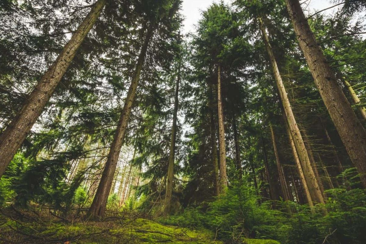 secrets-of-minnesotas-lost-valley