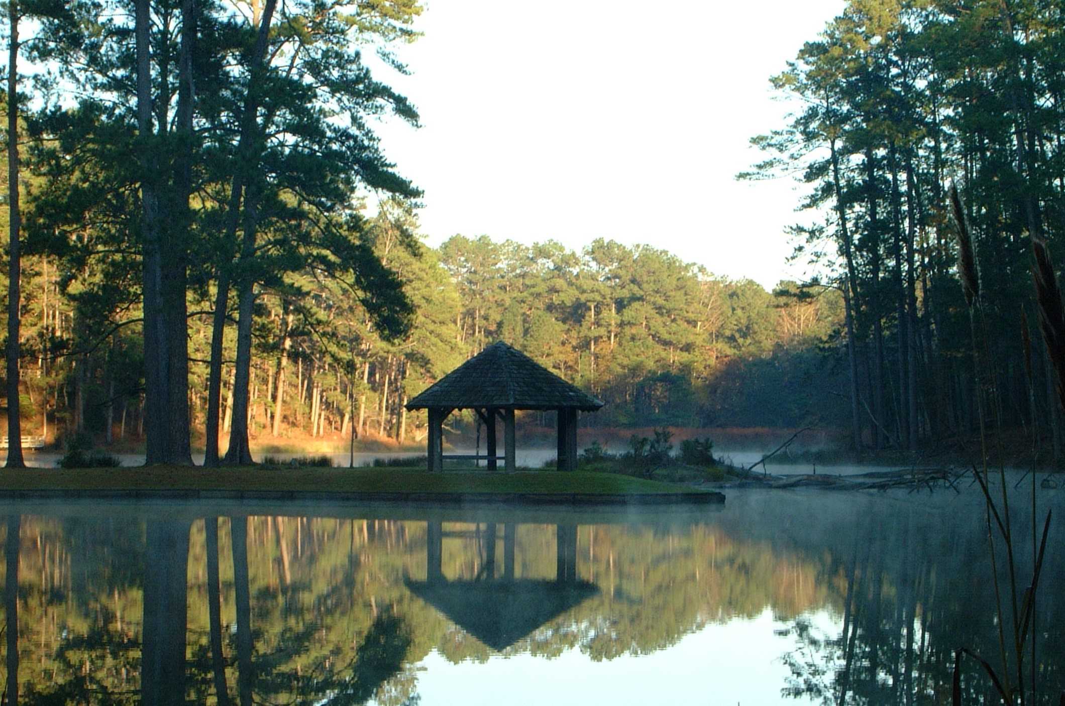 secrets-of-mississippis-clear-springs