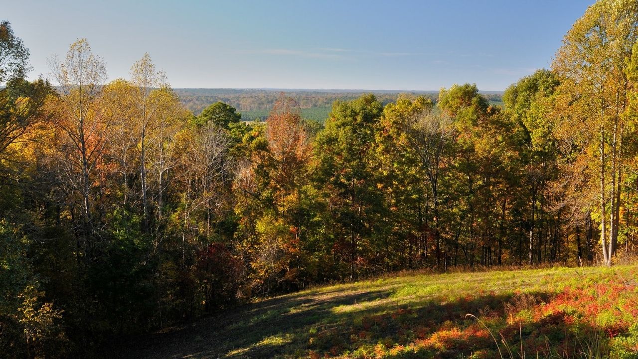 Secrets-Of-Mississippi8217s-Little-Mountain secrets-of-mississippis-little-mountain