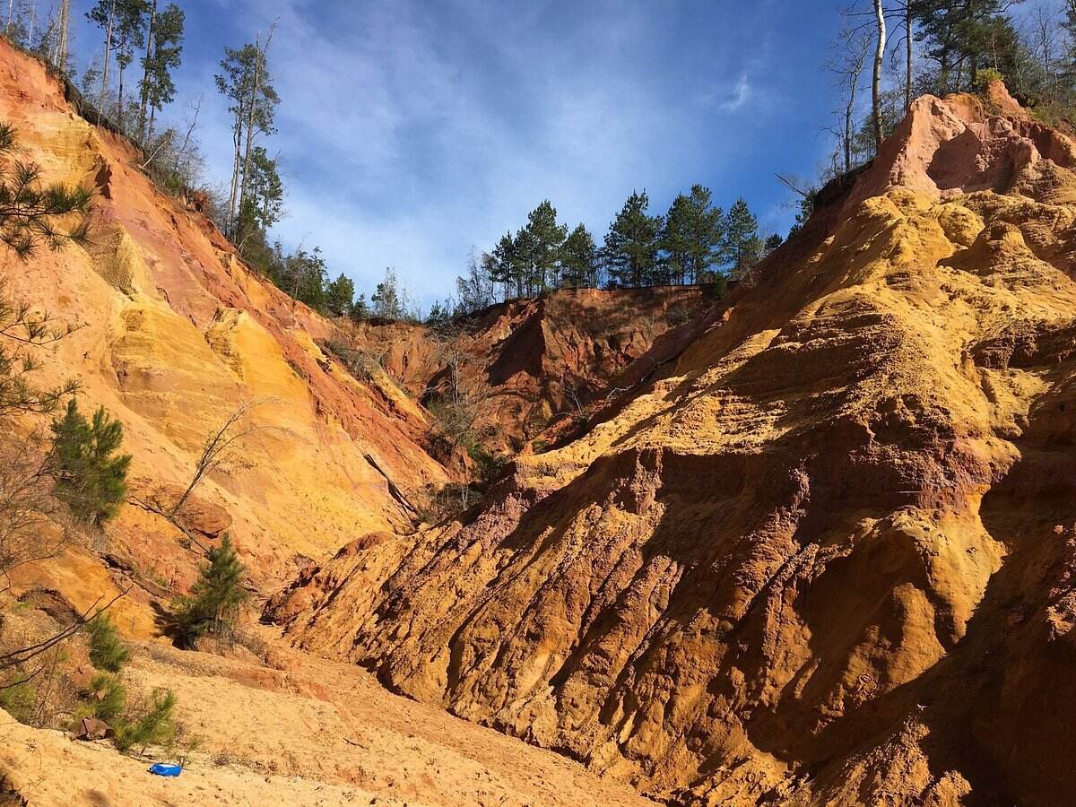 Secrets-Of-Mississippi8217s-Red-Bluff-Canyon secrets-of-mississippis-red-bluff-canyon