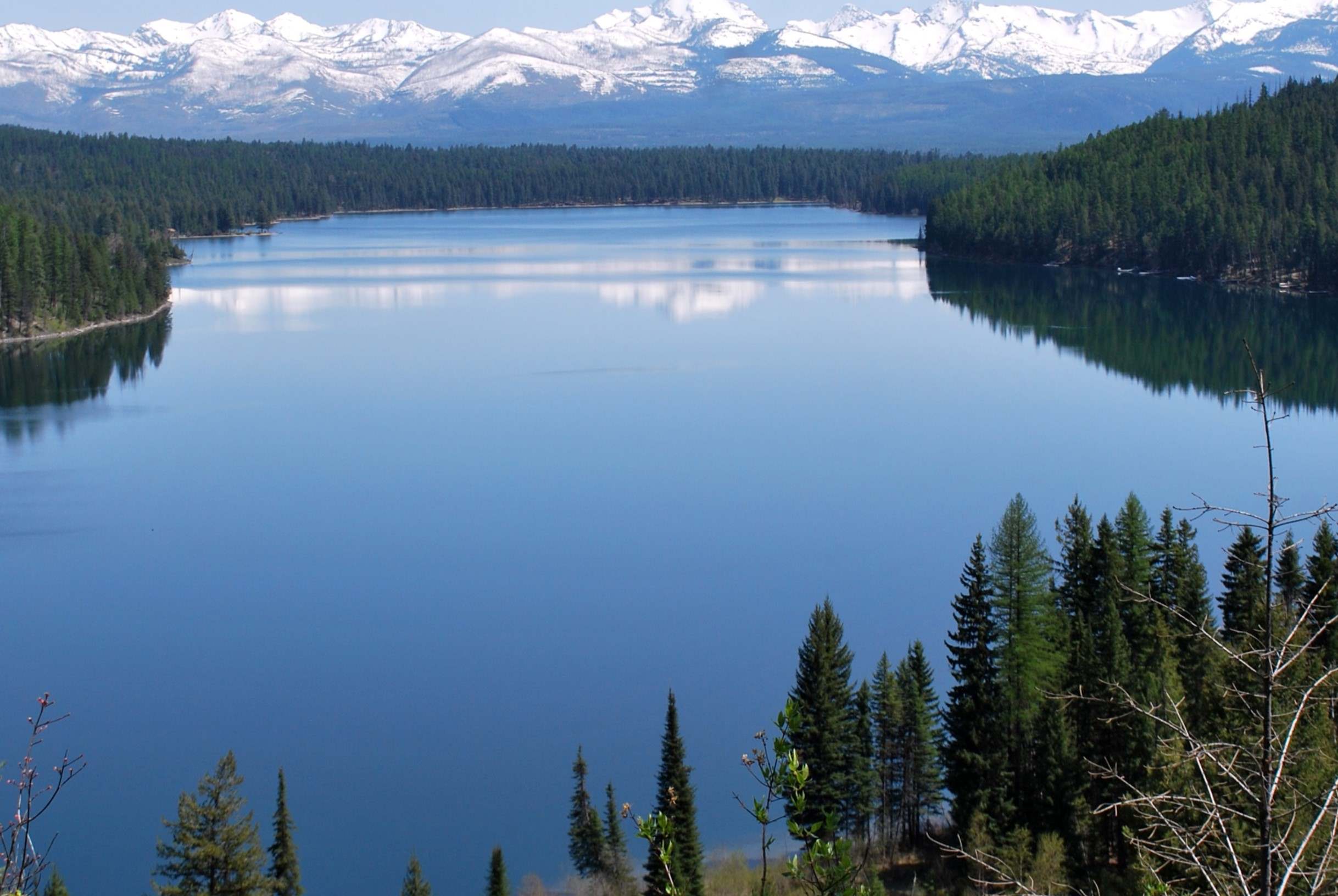 secrets-of-montanas-holland-lake-paths
