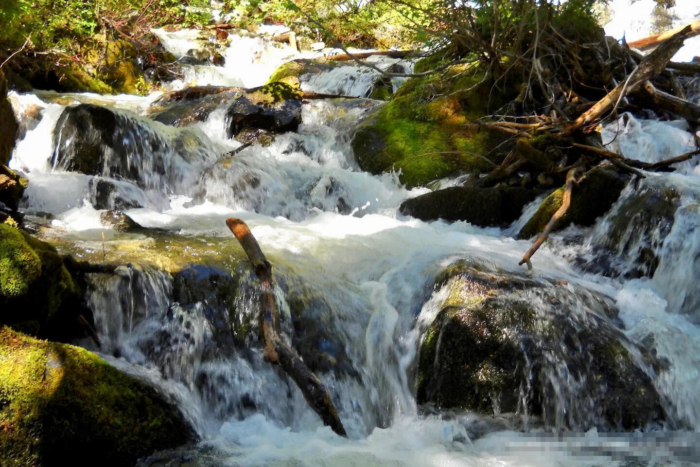 secrets-of-montanas-lost-creek-springs