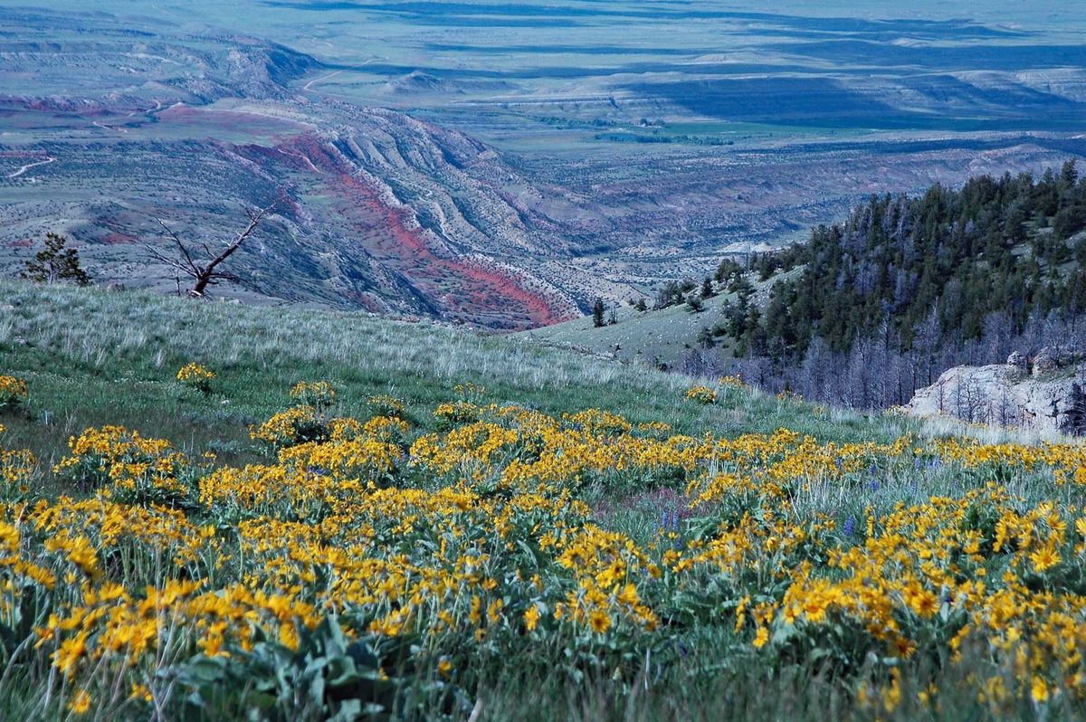 secrets-of-montanas-pryor-mountains-springs