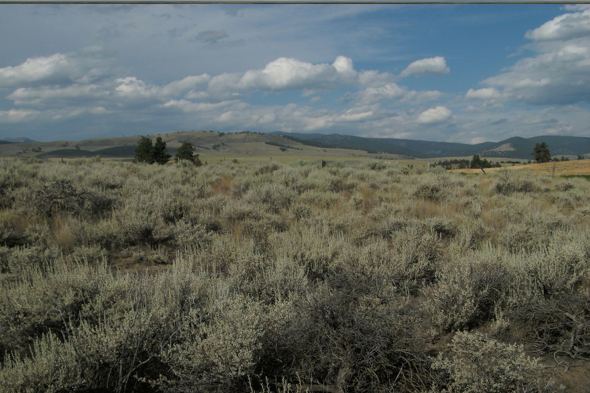 secrets-of-montanas-sapphire-range