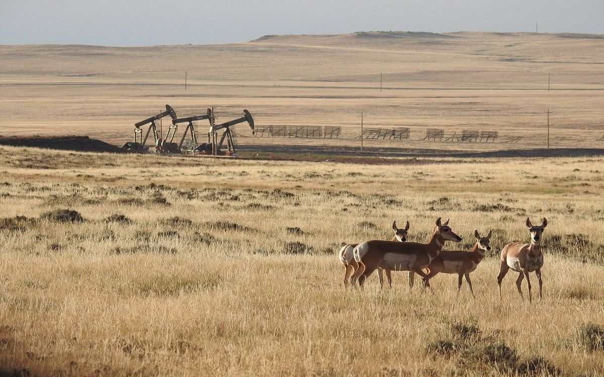Secrets-Of-Montana8217s-Thunder-Basin secrets-of-montanas-thunder-basin