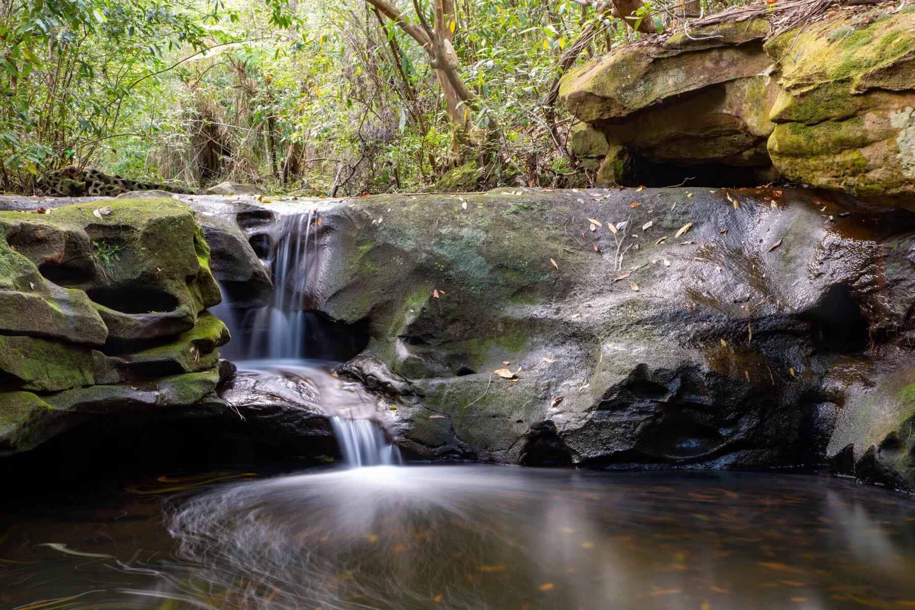 secrets-of-moore-coves-hidden-springs