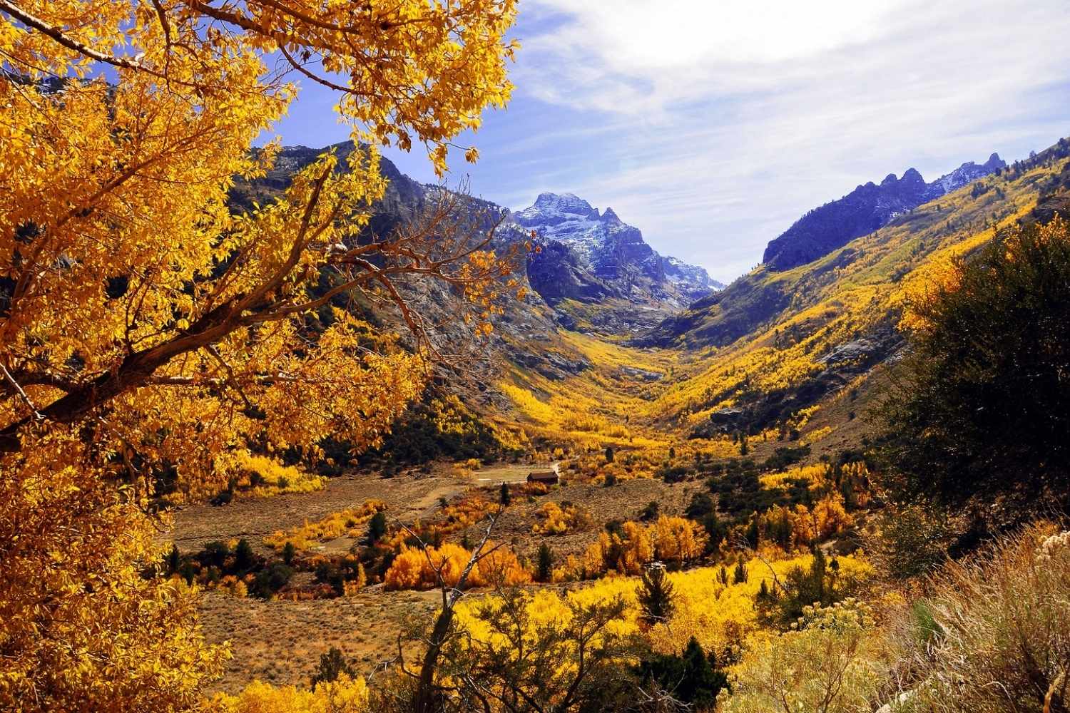 Secrets-Of-Nevada8217s-Lamoille-Canyon-Springs secrets-of-nevadas-lamoille-canyon-springs
