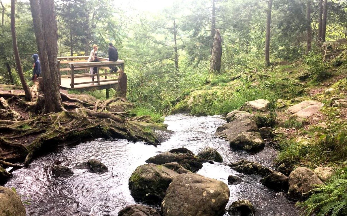 Secrets-Of-New-Jersey8217s-Buttermilk-Falls secrets-of-new-jerseys-buttermilk-falls