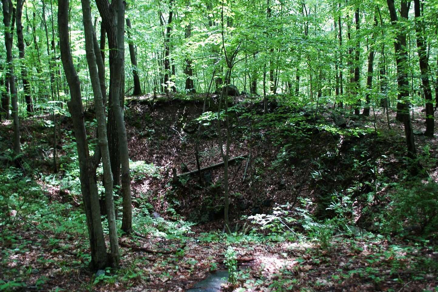 Secrets-Of-New-Jersey8217s-Mount-Hope-Mines secrets-of-new-jerseys-mount-hope-mines