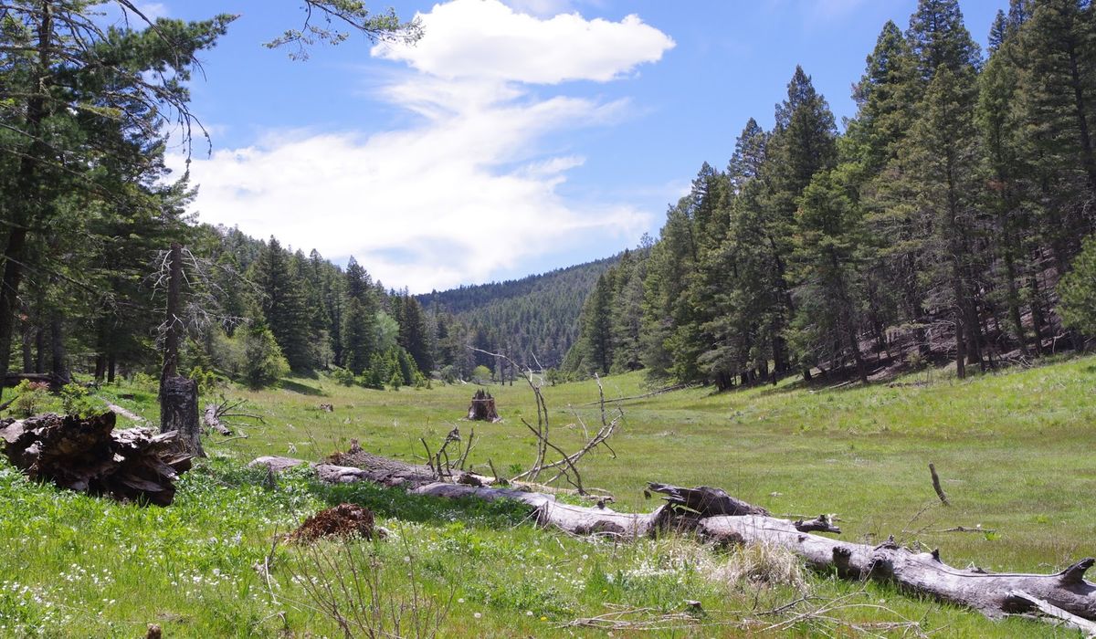 secrets-of-new-mexicos-dark-canyon-waters
