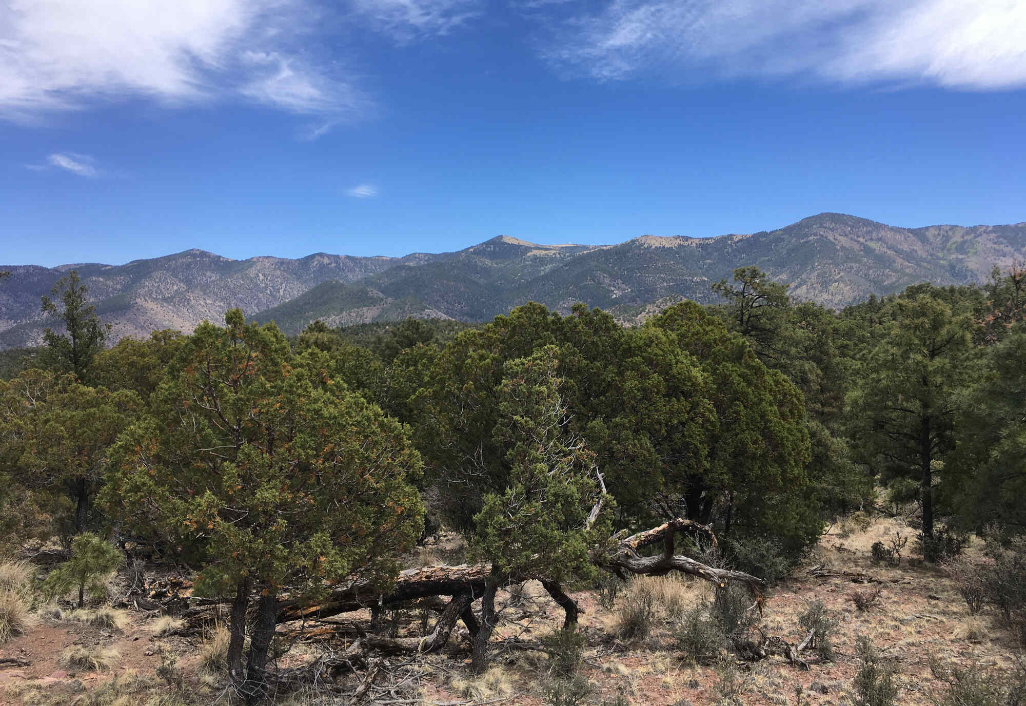 Secrets-Of-New-Mexico8217s-Magdalena-Range secrets-of-new-mexicos-magdalena-range