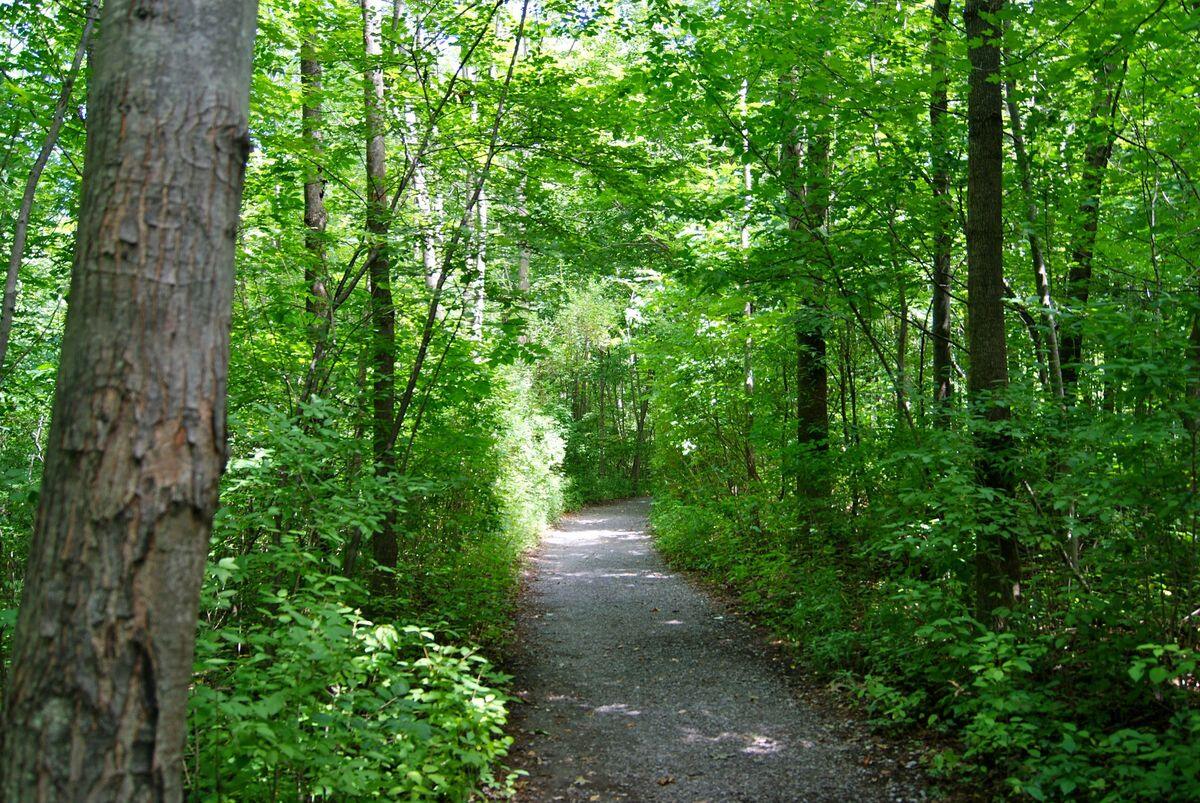 secrets-of-new-yorks-sacred-path