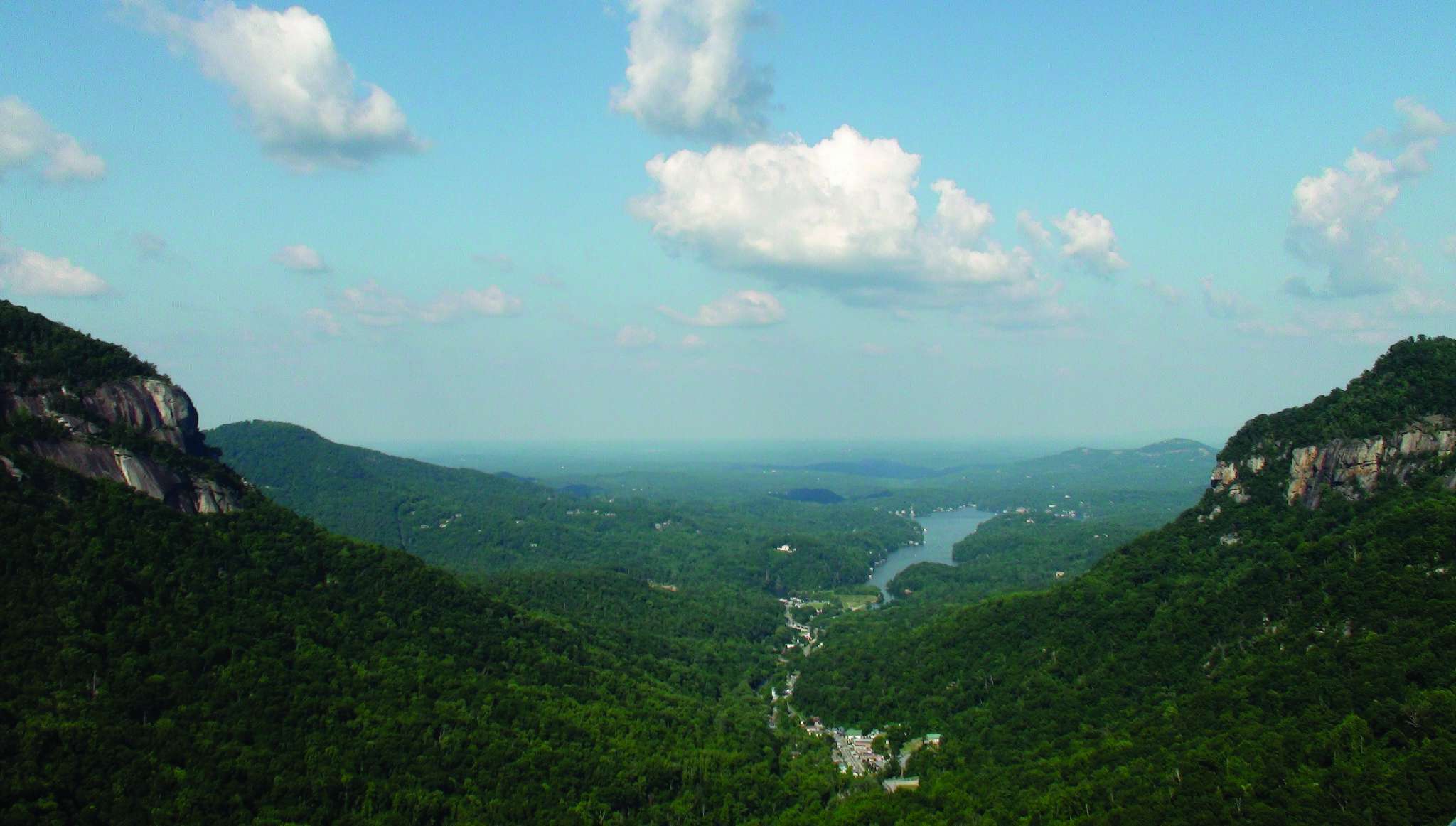 secrets-of-north-carolinas-hickory-nut