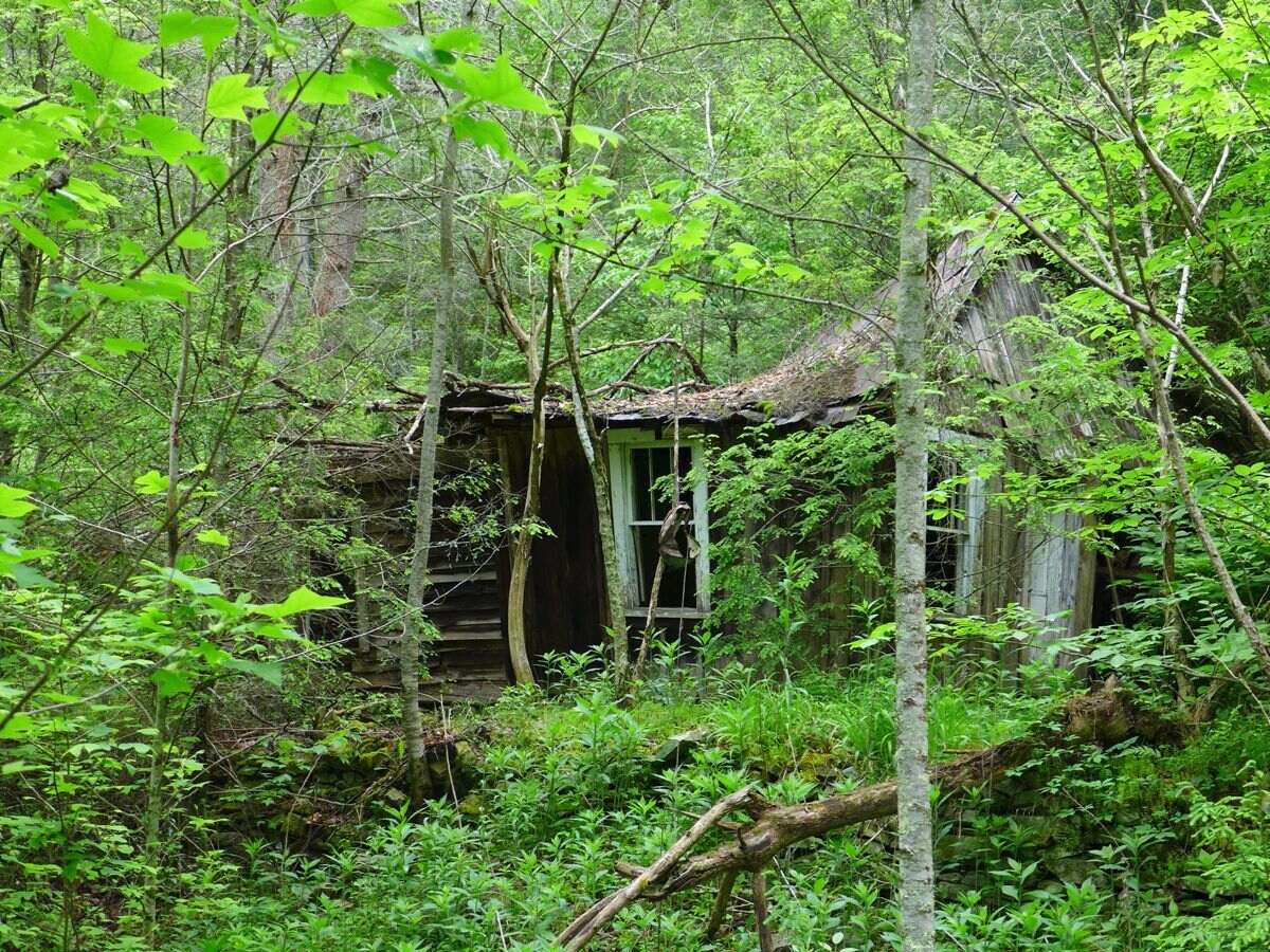 Secrets-Of-North-Carolina8217s-Lost-Cove secrets-of-north-carolinas-lost-cove