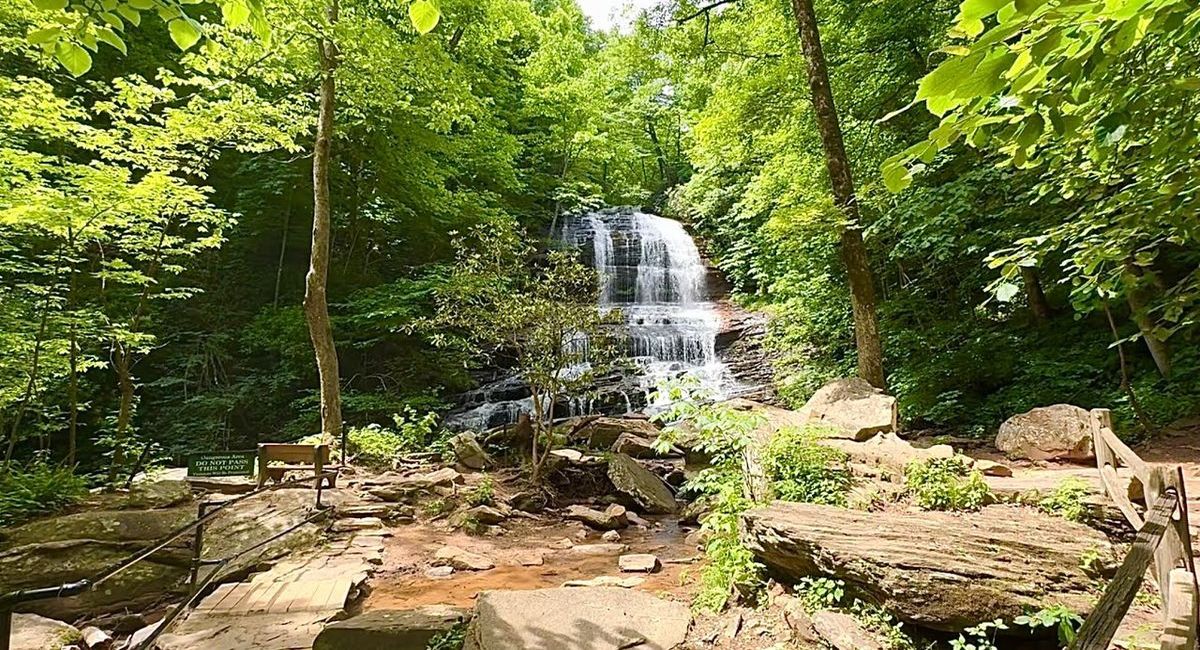 Secrets-Of-North-Carolina8217s-Pearson8217s-Falls secrets-of-north-carolinas-pearsons-falls