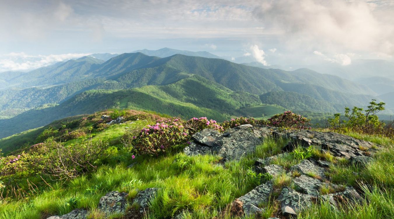 secrets-of-north-carolinas-roan-mountain