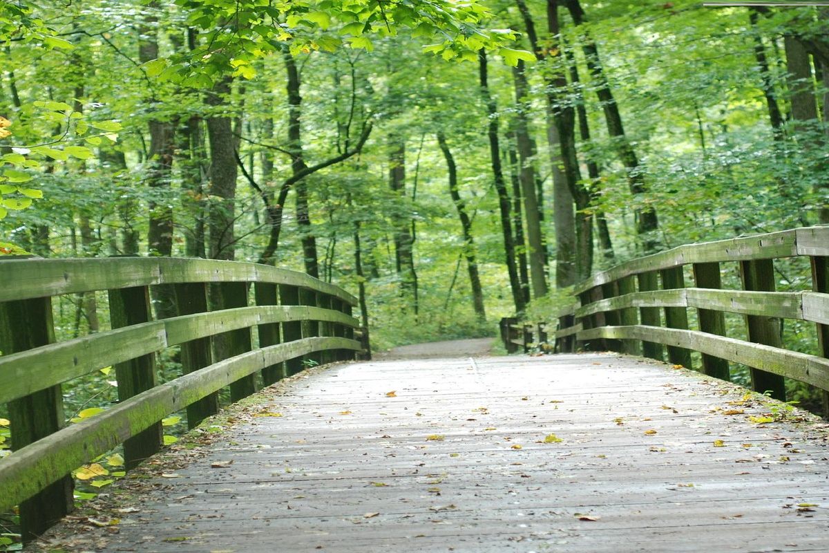 Secrets-Of-Ohio8217s-Ireland-Woods secrets-of-ohios-ireland-woods