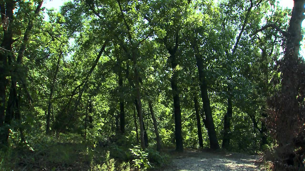 Secrets-Of-Oklahoma8217s-Ancient-Spring secrets-of-oklahomas-ancient-spring