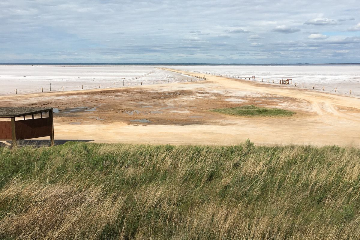 secrets-of-oklahomas-great-salt-plains-paths