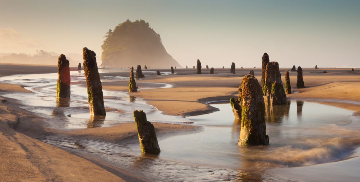 secrets-of-oregons-ghost-forest-paths