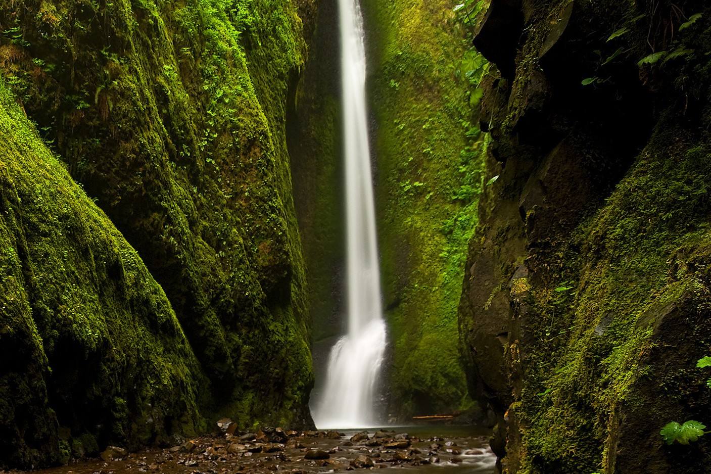 secrets-of-oregons-oneonta-gorge-springs