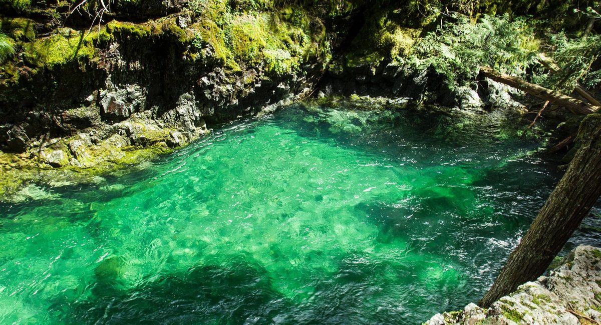 secrets-of-oregons-opal-creek-trails