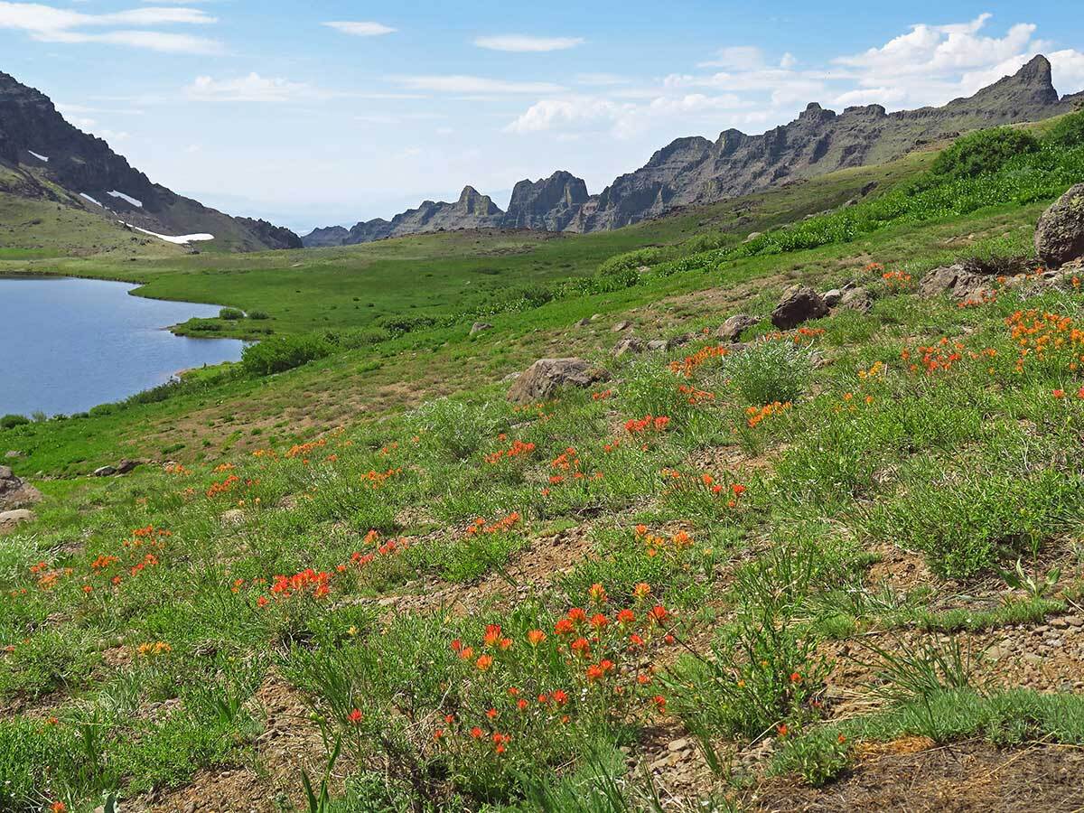 secrets-of-oregons-steens-mountain-springs