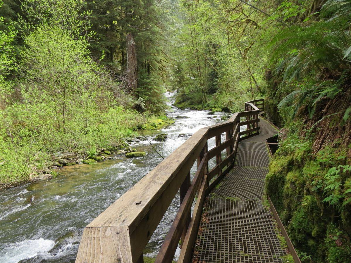 secrets-of-oregons-sweet-creek-trails