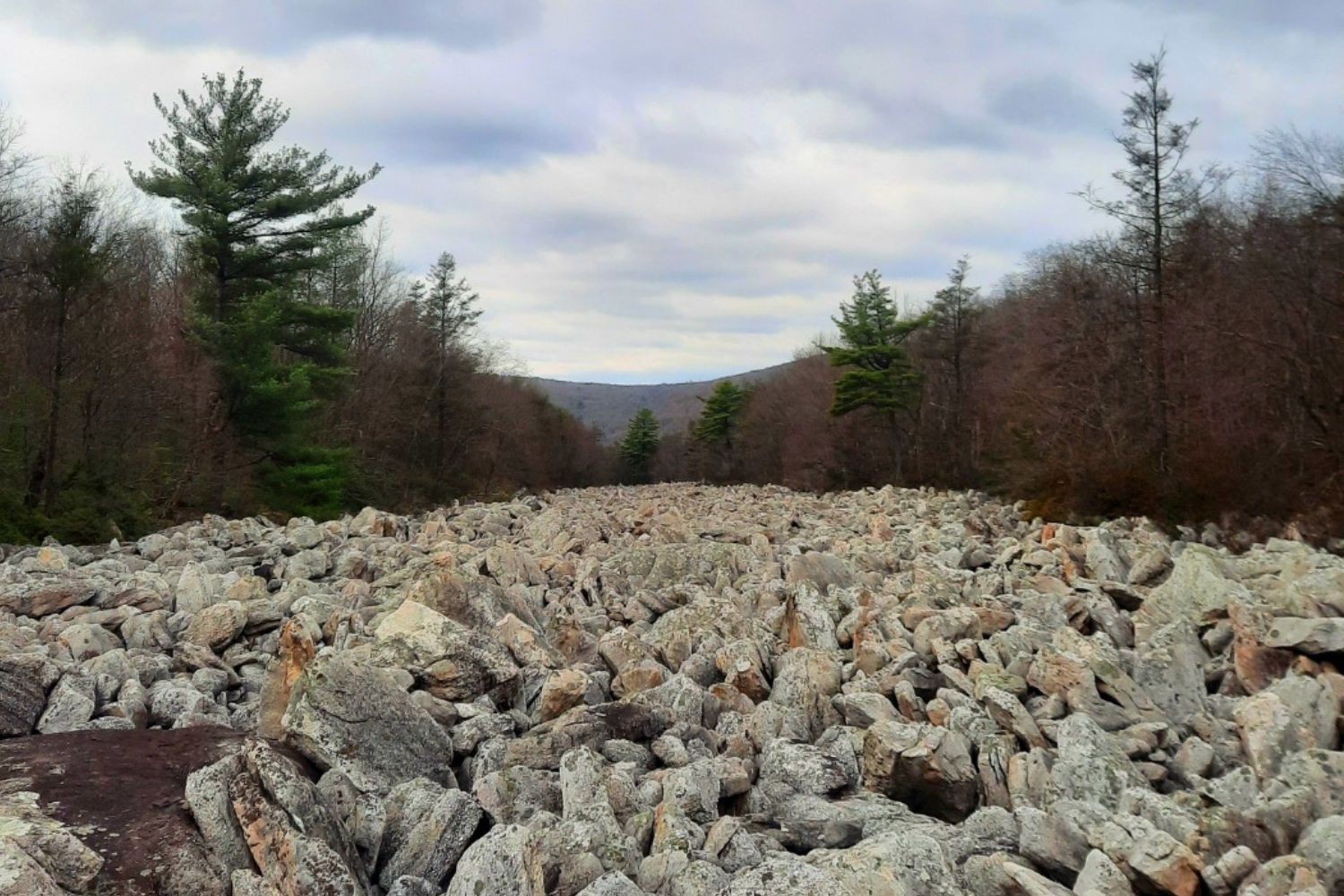 secrets-of-pennsylvanias-devils-race