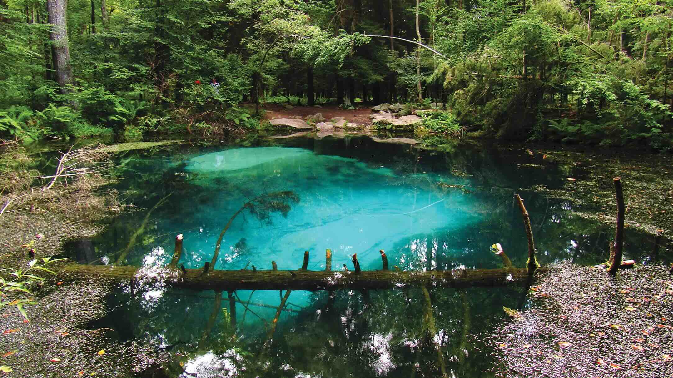 Secrets-Of-Pennsylvania8217s-Sacred-Spring secrets-of-pennsylvanias-sacred-spring