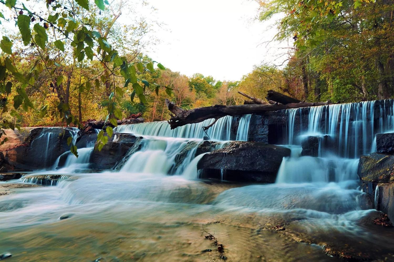 secrets-of-south-carolinas-cedar-falls