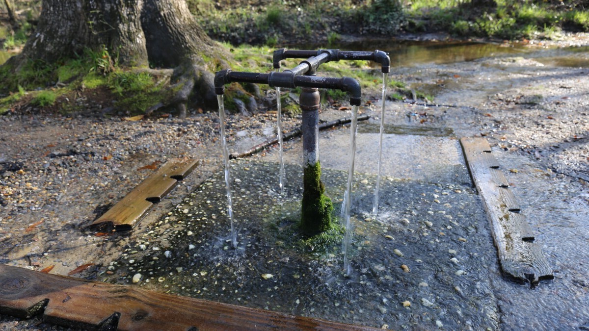 Secrets-Of-South-Carolina8217s-Healing-Waters secrets-of-south-carolinas-healing-waters