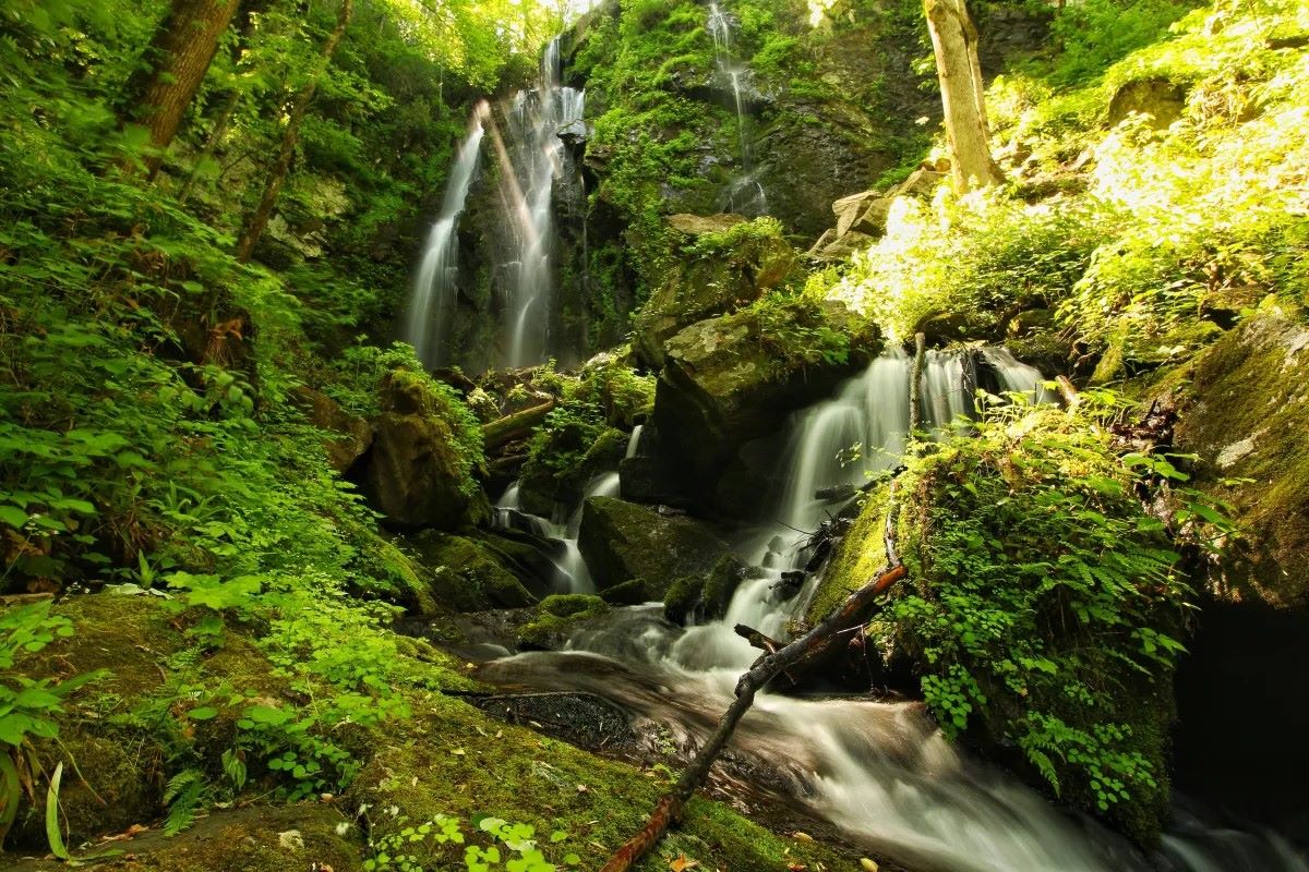 secrets-of-south-carolinas-lee-falls-springs