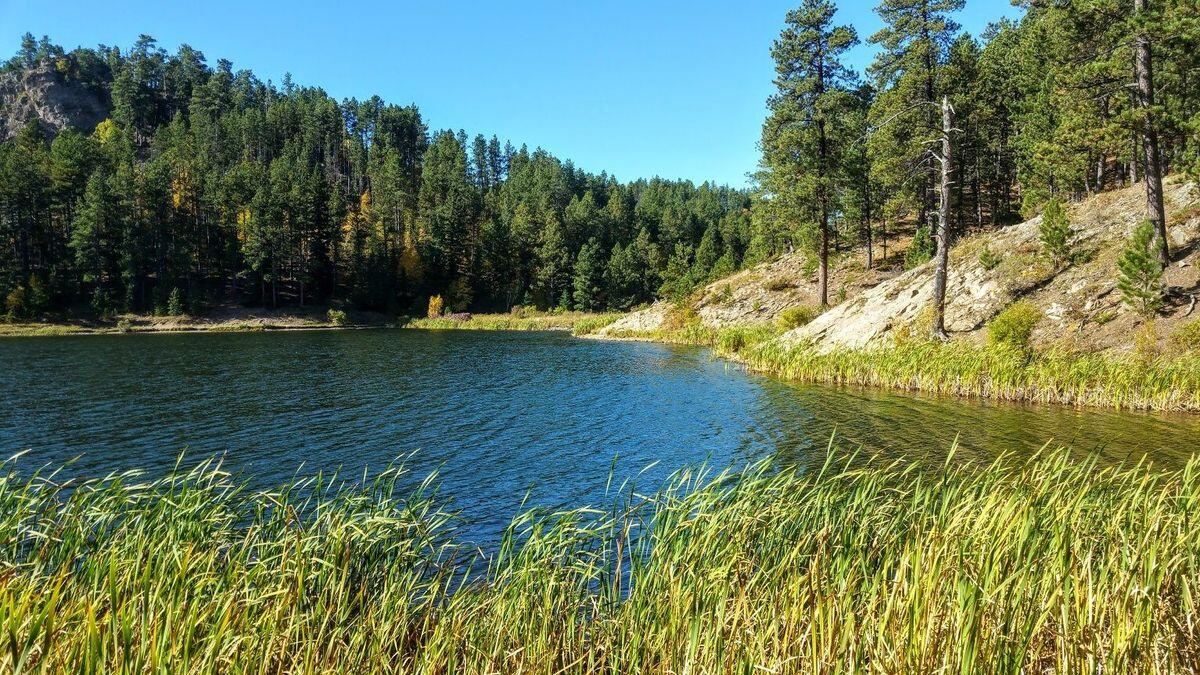 Secrets-Of-South-Dakota8217s-Iron-Creek secrets-of-south-dakotas-iron-creek