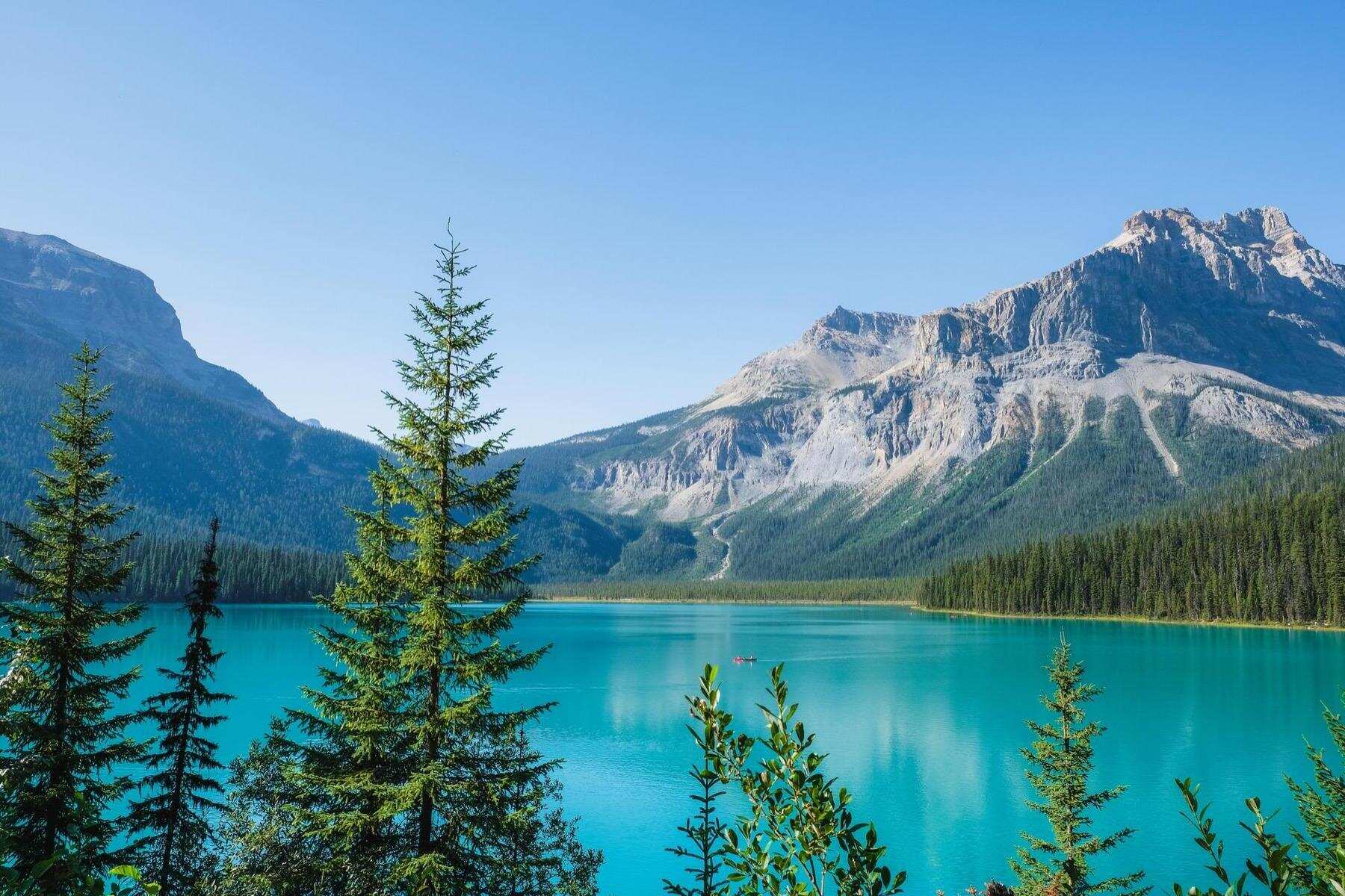 secrets-of-tennessees-emerald-basin-springs