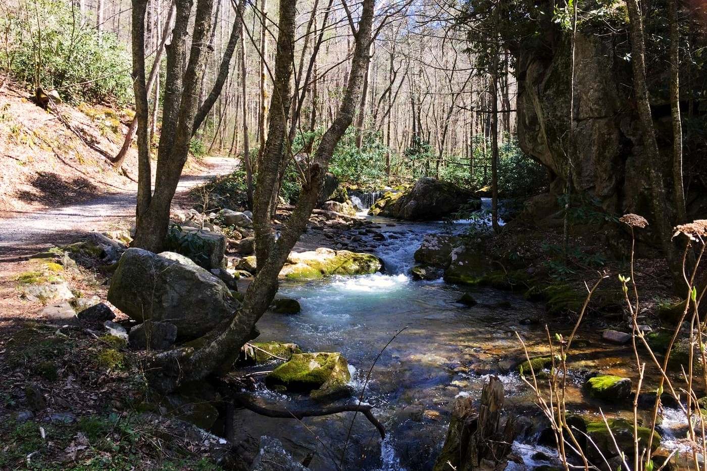 Secrets-Of-Tennessee8217s-Rocky-Fork-Springs secrets-of-tennessees-rocky-fork-springs