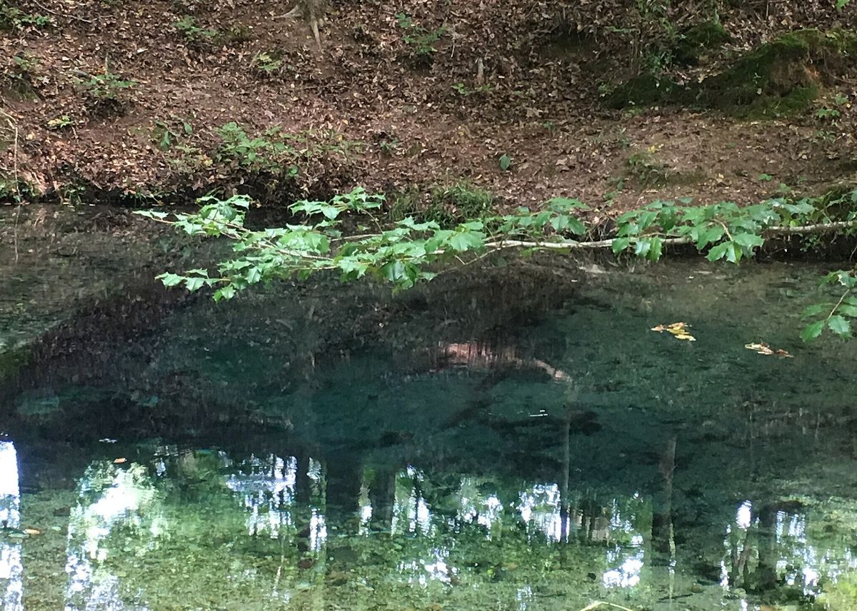 secrets-of-tennessees-sacred-spring