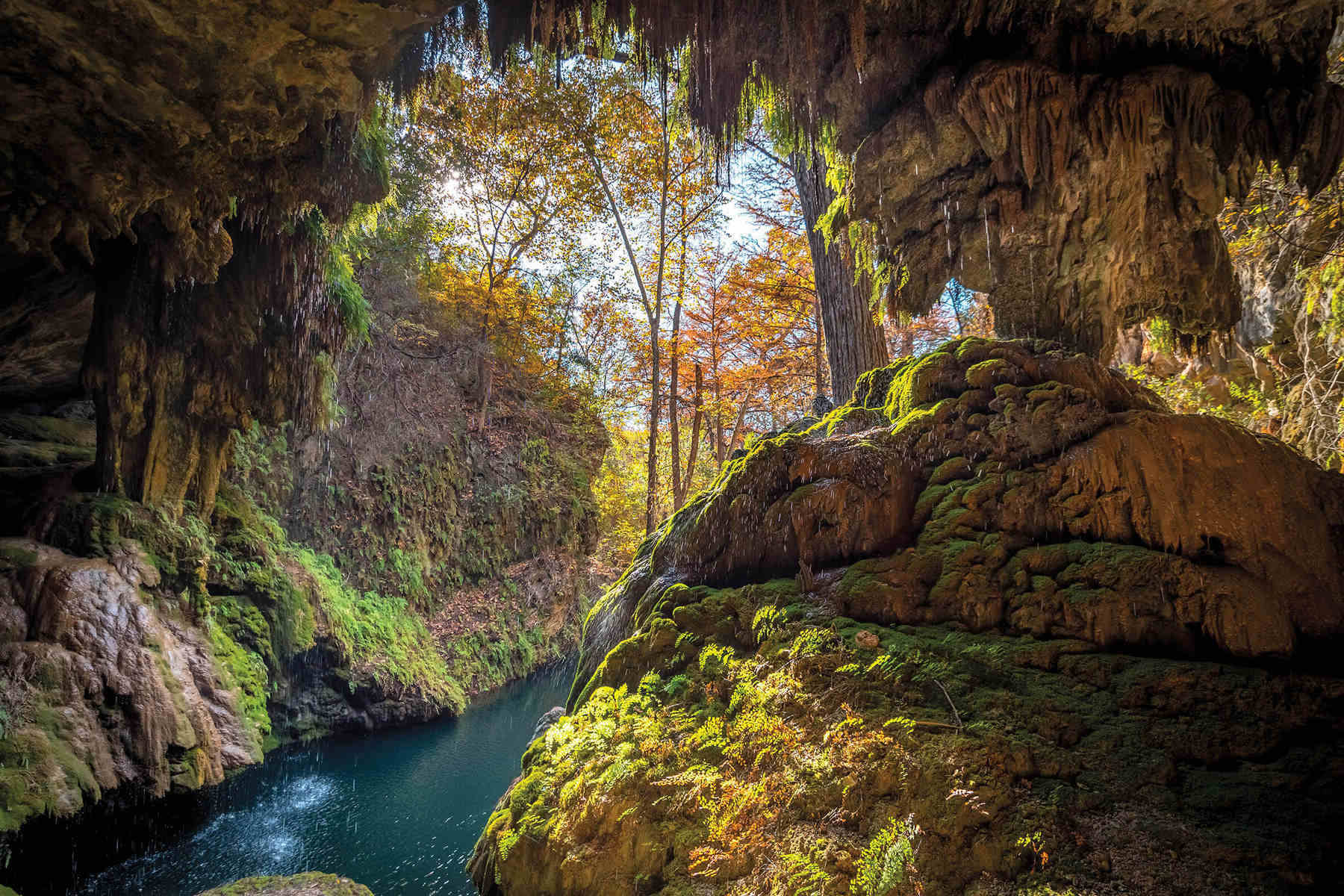 secrets-of-texas-westcave-preserve
