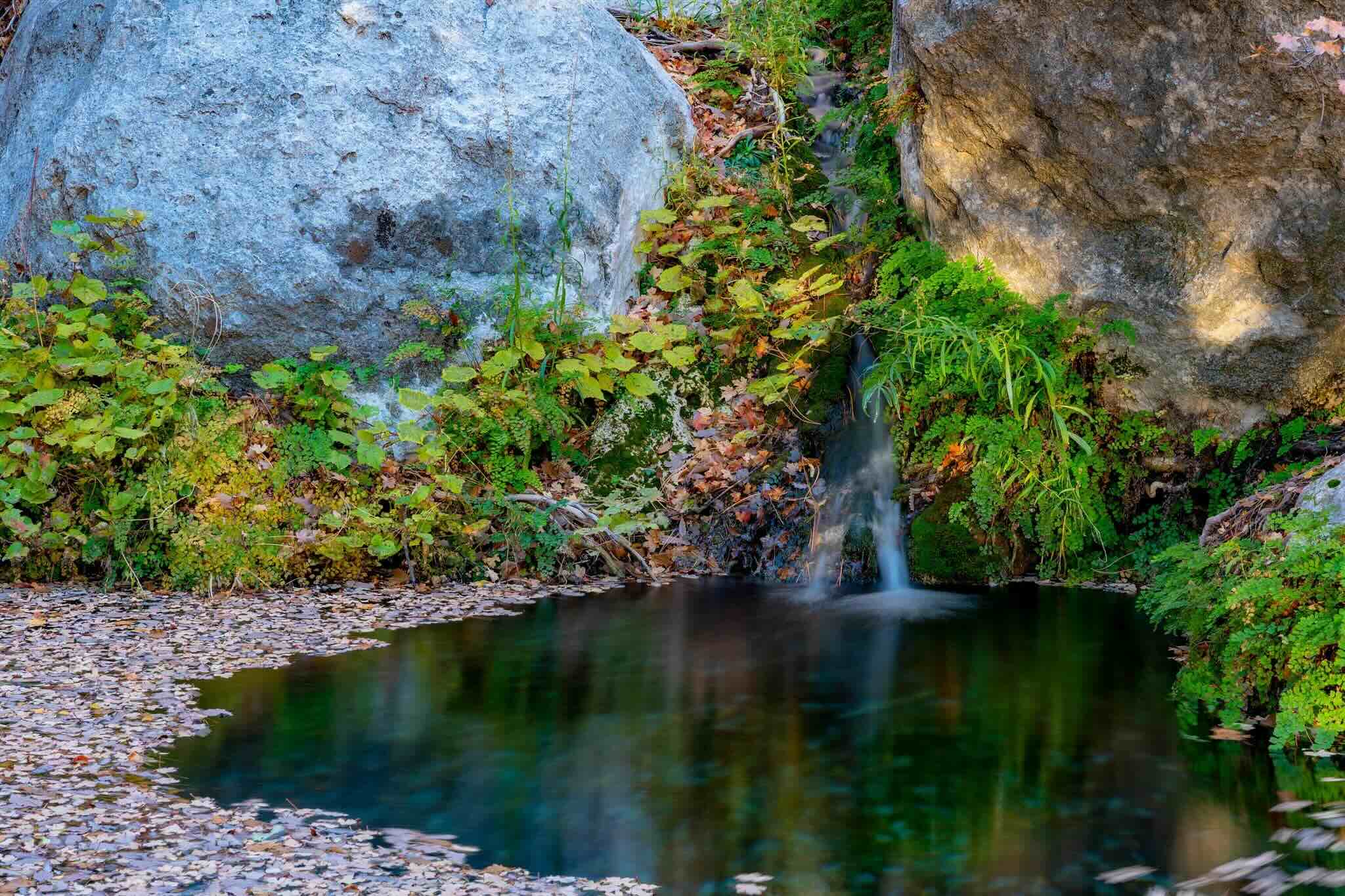 Secrets-Of-Texas8217s-Guadalupe-Falls-Springs secrets-of-texass-guadalupe-falls-springs
