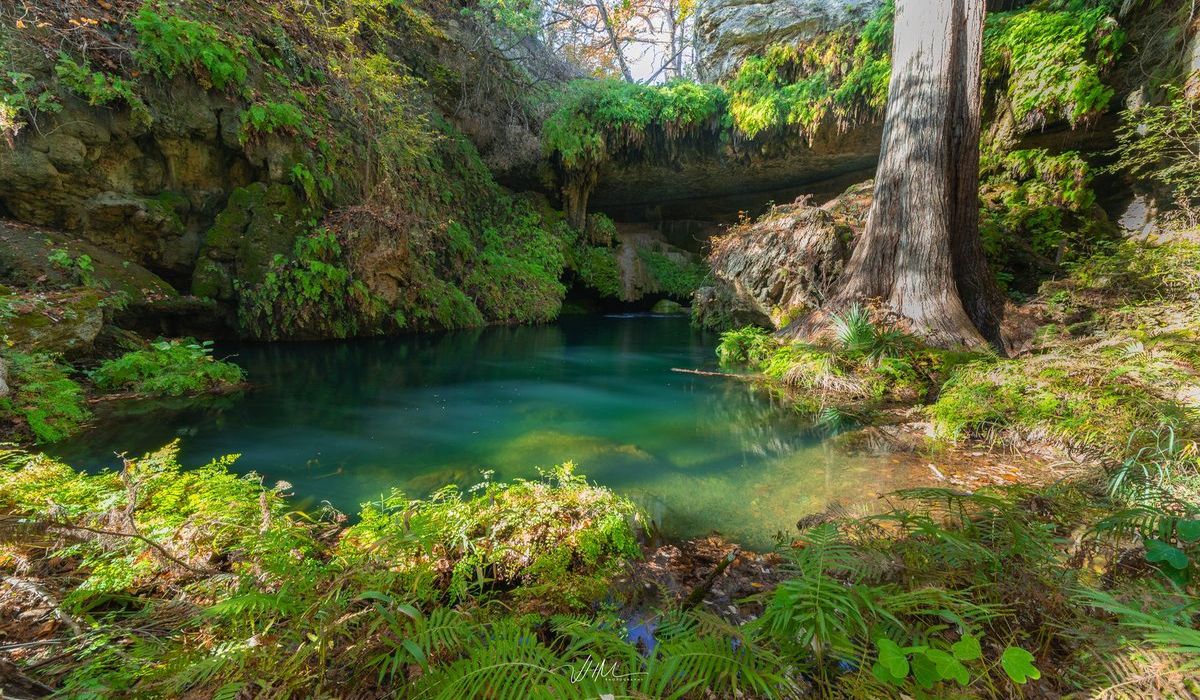 secrets-of-texass-westcave-preserve-springs
