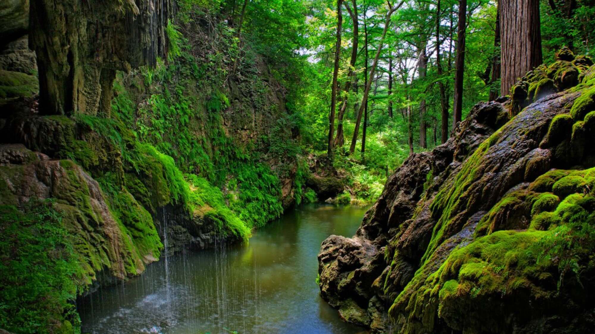 secrets-of-texass-westcave-springs