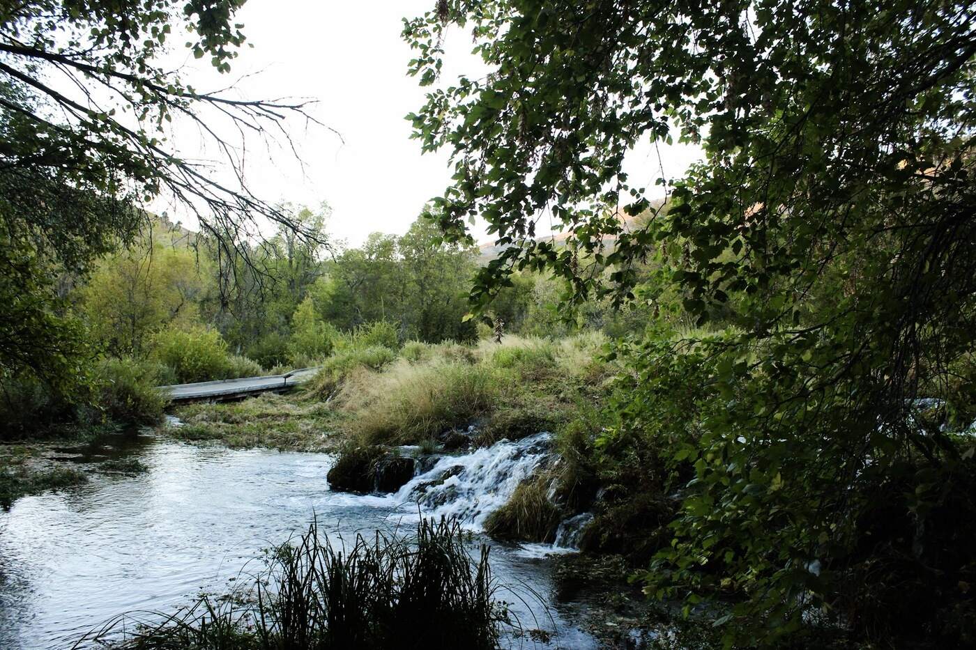 secrets-of-utahs-cascade-springs