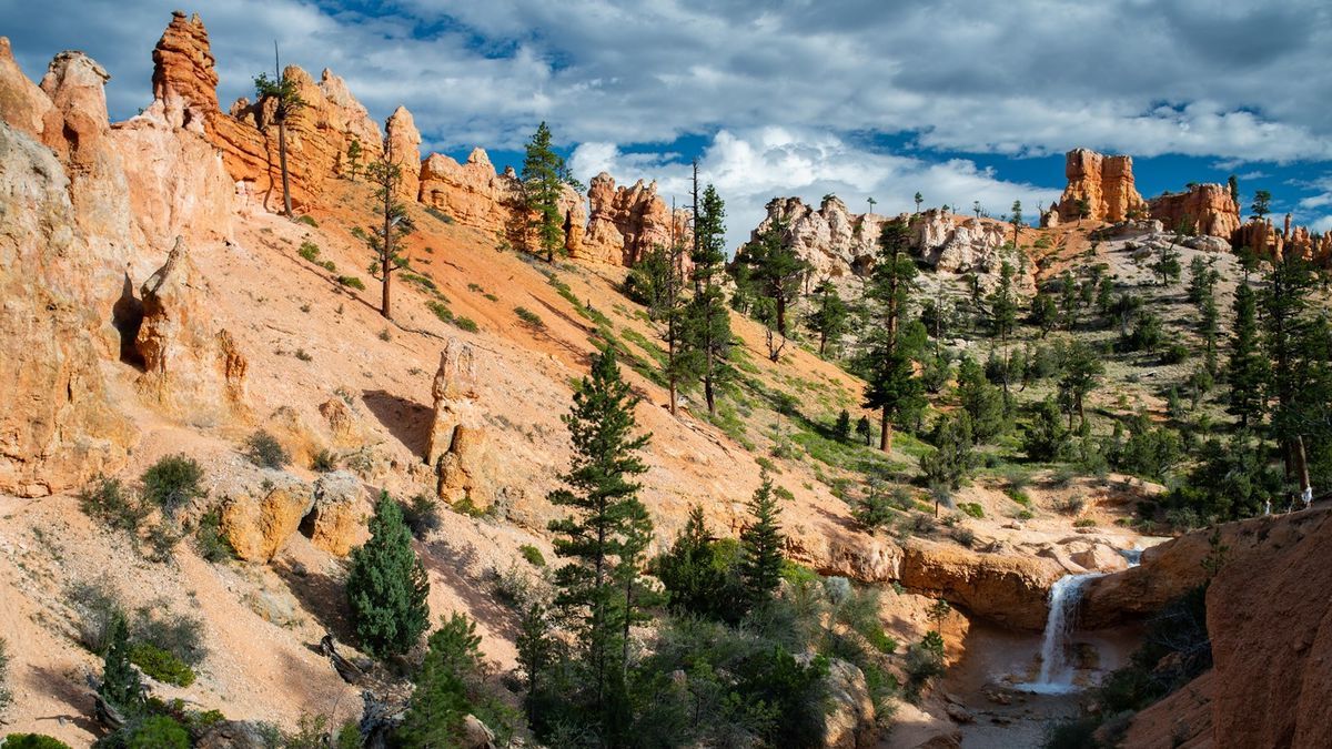 secrets-of-utahs-mossy-cave