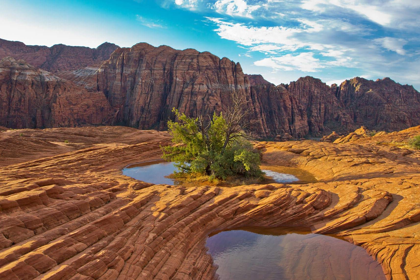 Secrets-Of-Utah8217s-Snow-Canyon secrets-of-utahs-snow-canyon