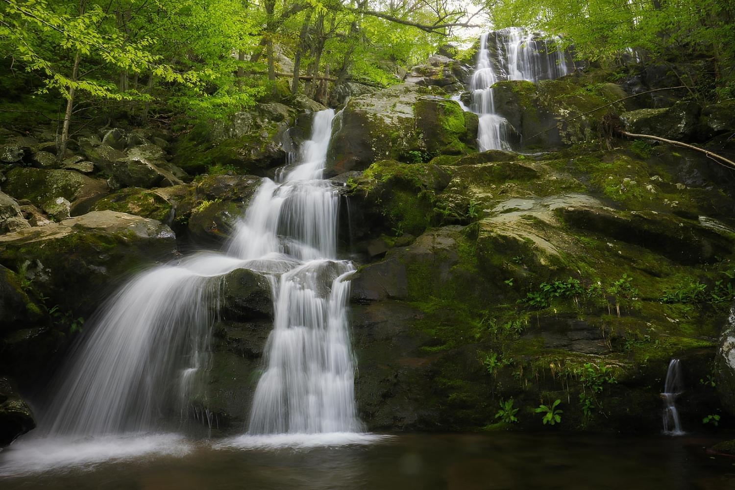 secrets-of-virginias-dark-hollow