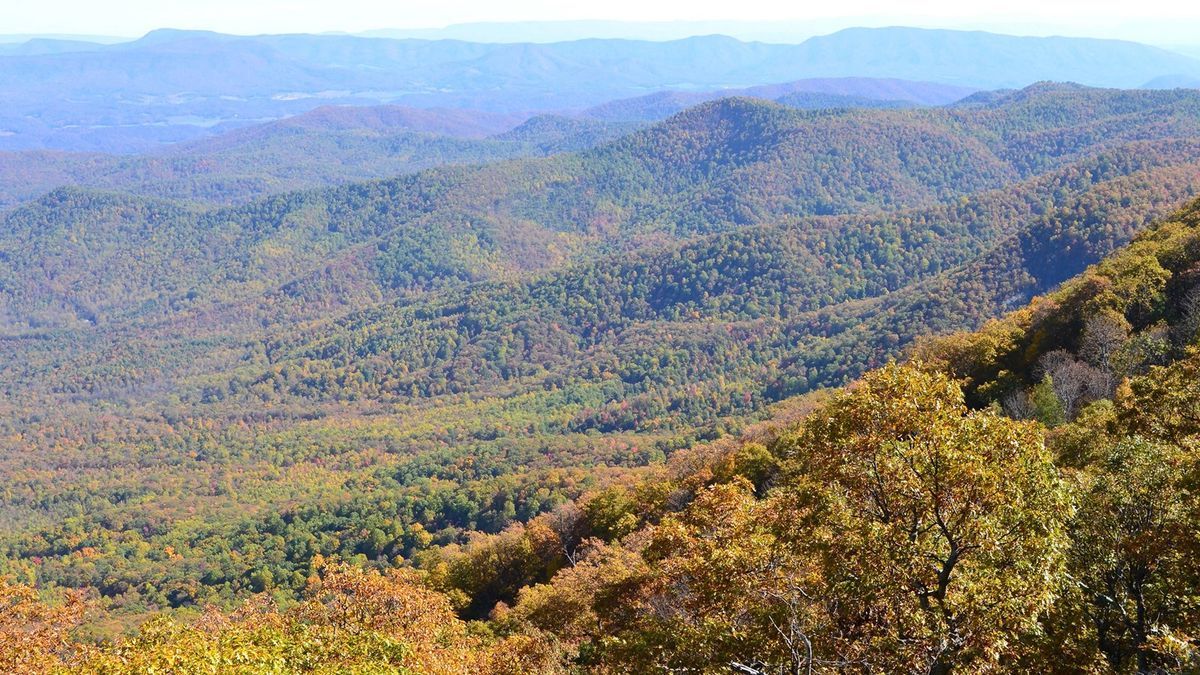 Secrets-Of-Virginia8217s-Thunder-Ridge-Trails secrets-of-virginias-thunder-ridge-trails