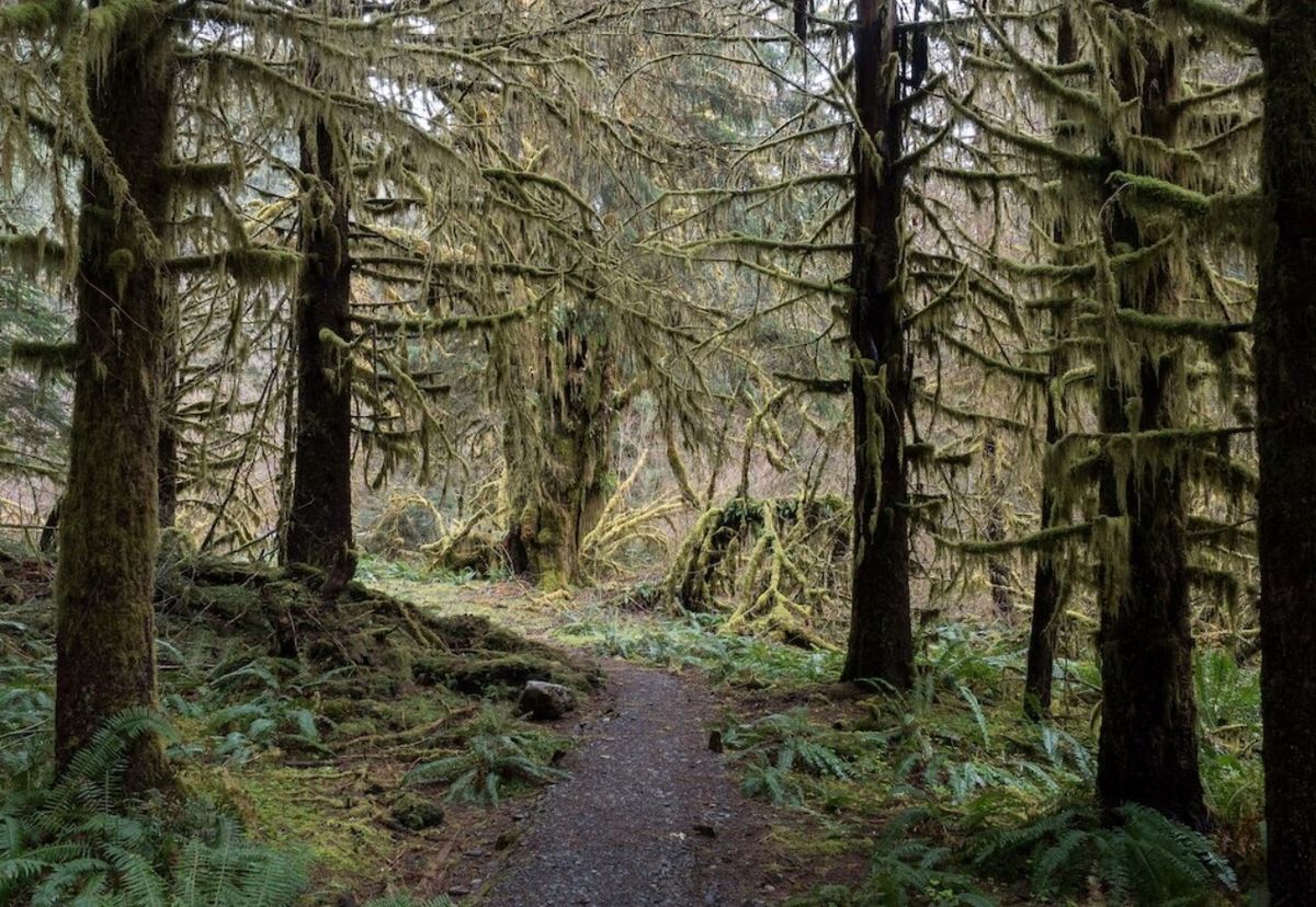 secrets-of-washingtons-ghost-valley-paths